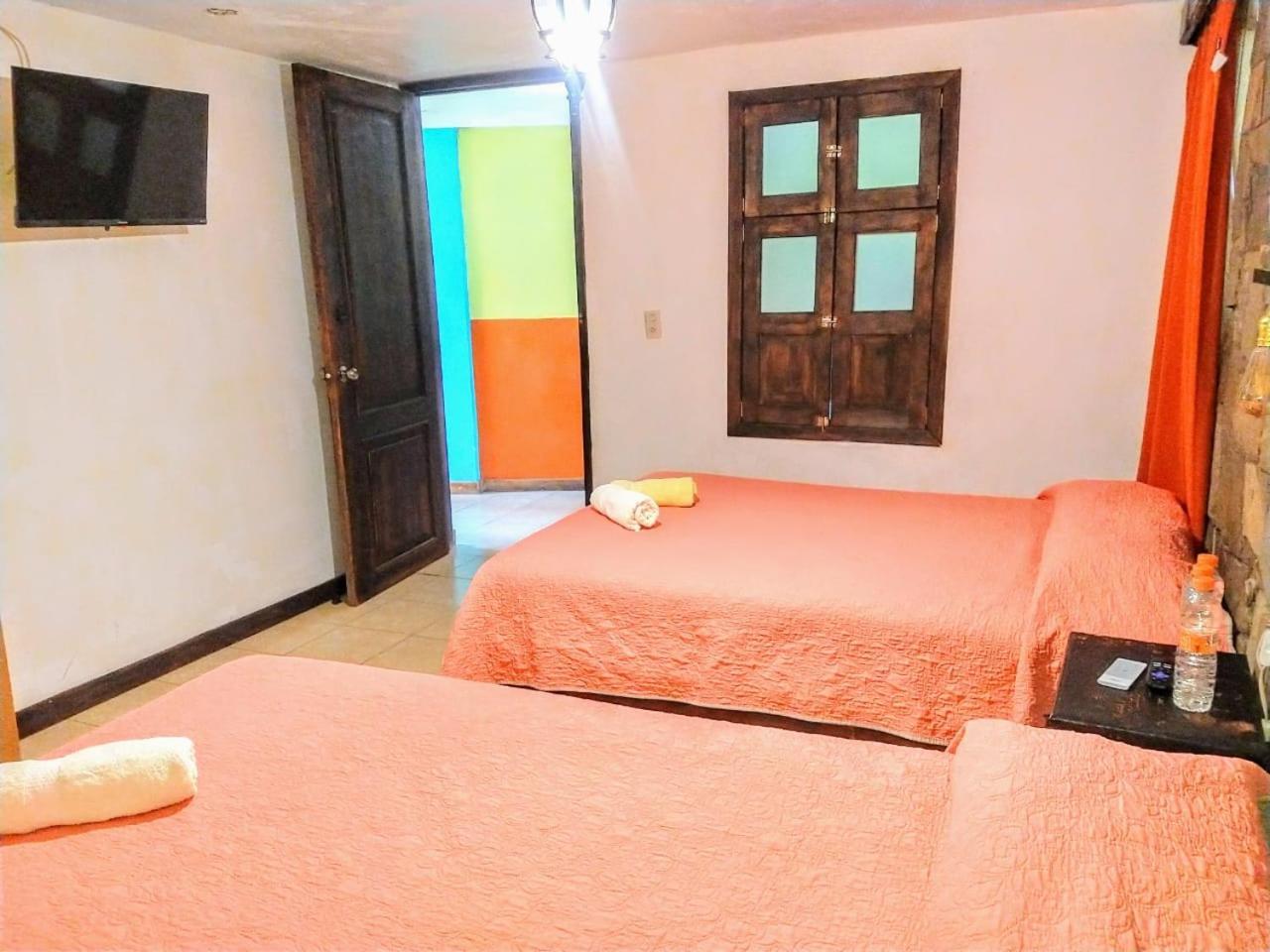 Posada "Jardin Huasteca Xilitla" Eksteriør billede