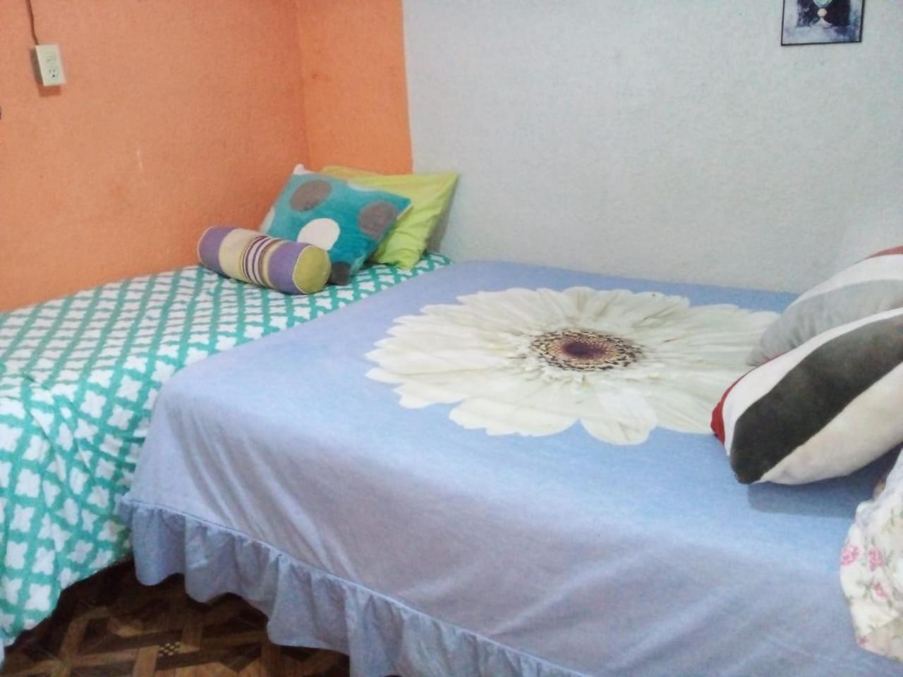 Posada "Jardin Huasteca Xilitla" Eksteriør billede